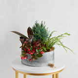 Winter Indoor Planter Small