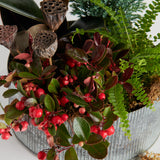 Winter Indoor Planter Small