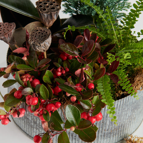 Winter Indoor Planter Small